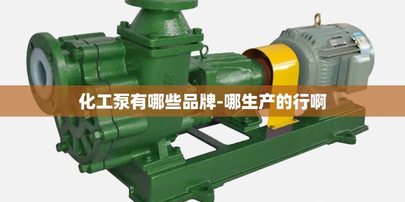 化工泵有哪些品牌-哪生产的行啊