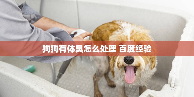 狗狗有体臭怎么处理 百度经验