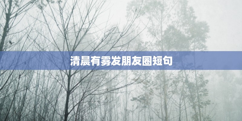 清晨有雾发朋友圈短句