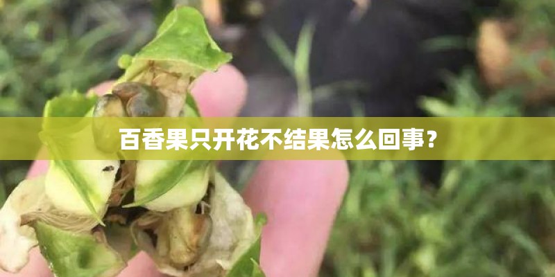 尾盘选股公式是什么？