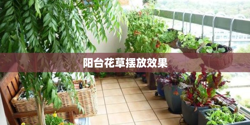 阳台花草摆放效果