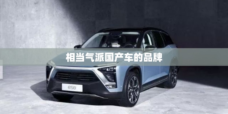 相当气派国产车的品牌