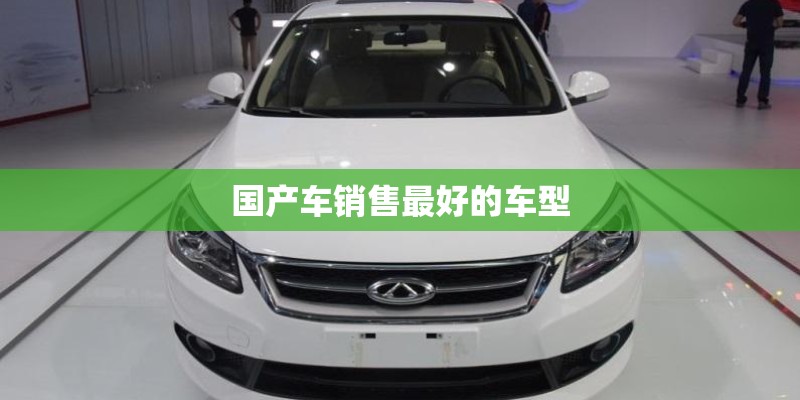 国产车销售最好的车型