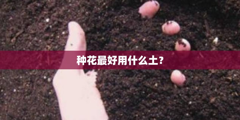 种花最好用什么土？