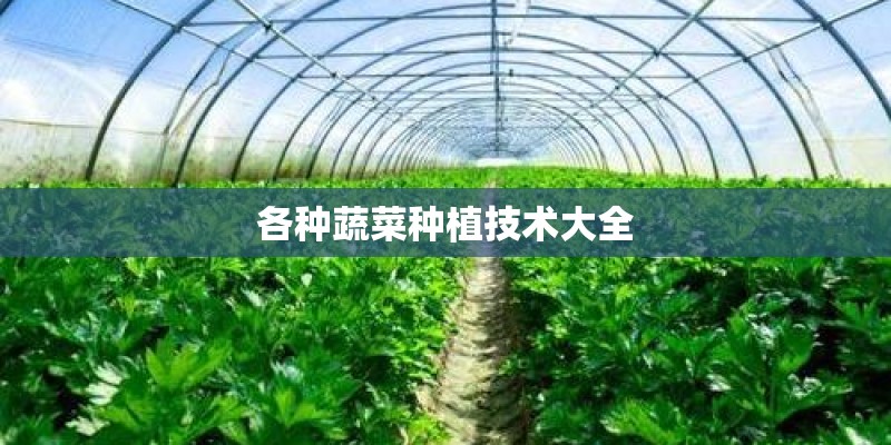 各种蔬菜种植技术大全