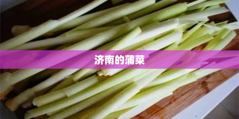 济南的蒲菜