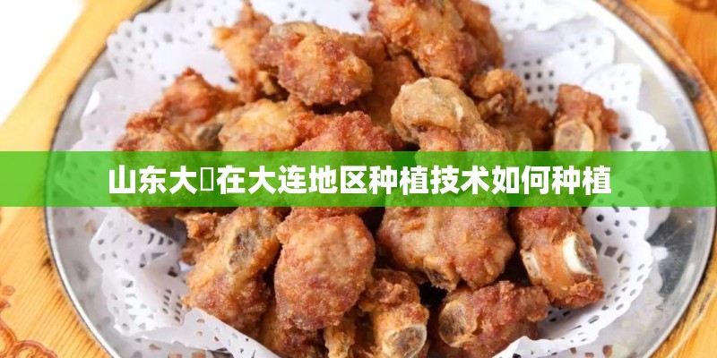山东大祘在大连地区种植技术如何种植 山东大祘在大连地区种植技术如何种植