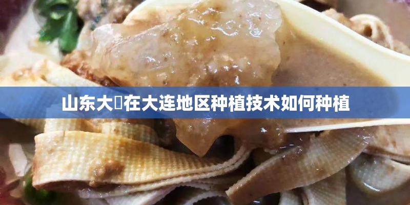 山东大祘在大连地区种植技术如何种植 山东大祘在大连地区种植技术如何种植