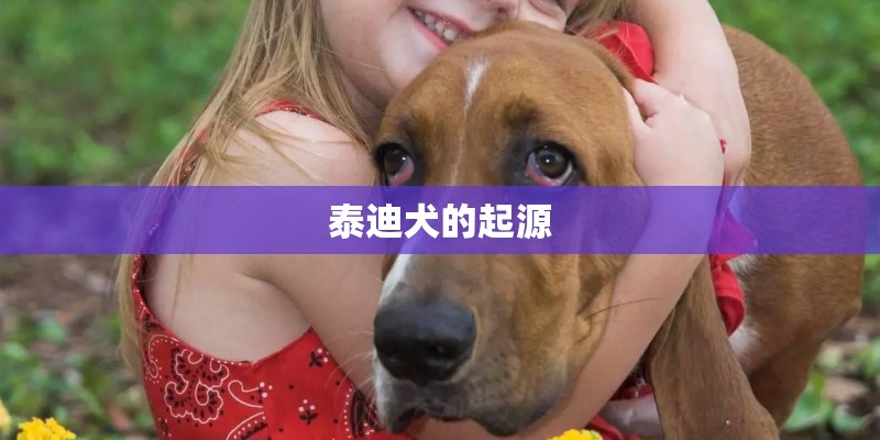 泰迪犬的起源