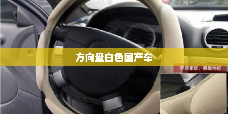 方向盘白色国产车