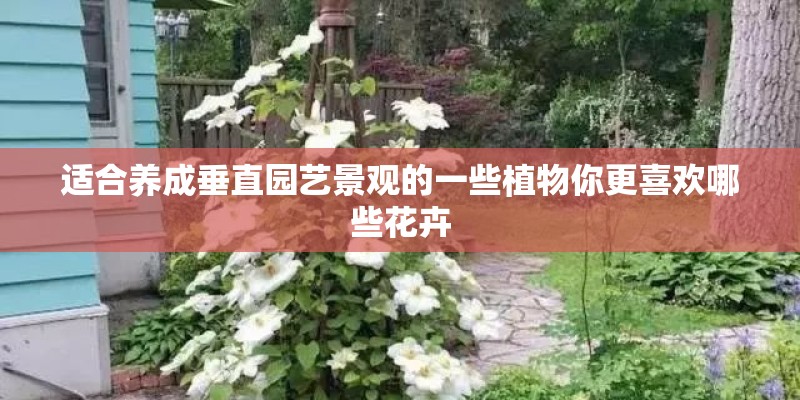 适合养成垂直园艺景观的一些植物你更喜欢哪些花卉