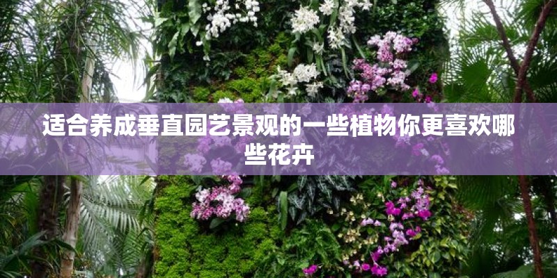 适合养成垂直园艺景观的一些植物你更喜欢哪些花卉