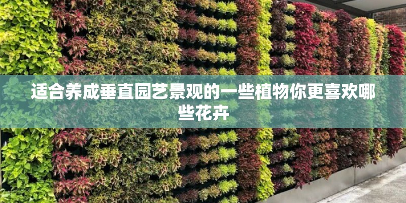 适合养成垂直园艺景观的一些植物你更喜欢哪些花卉