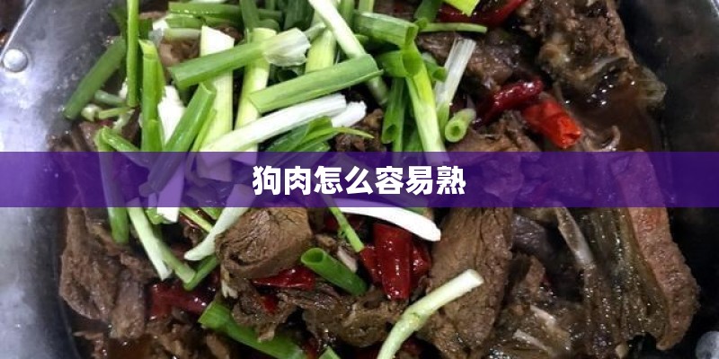 狗肉怎么容易熟