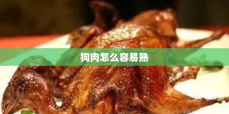 狗肉怎么容易熟