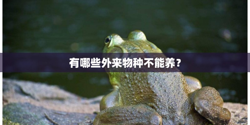有哪些外来物种不能养？