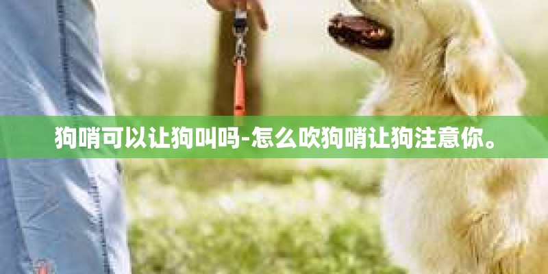 狗哨可以让狗叫吗-怎么吹狗哨让狗注意你。