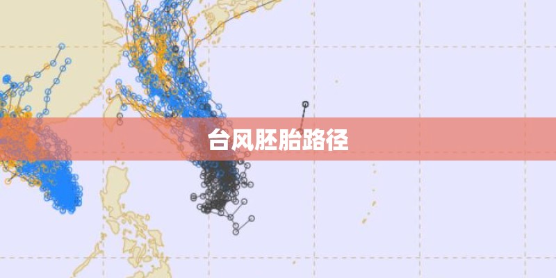 台风胚胎路径