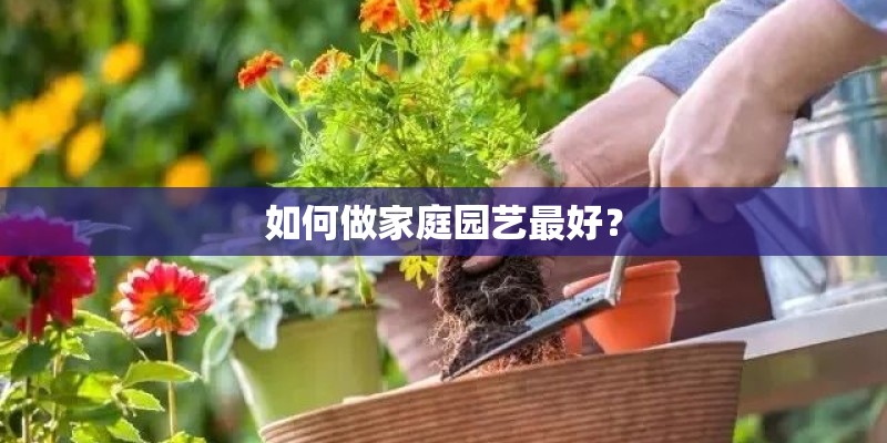 如何做家庭园艺最好？
