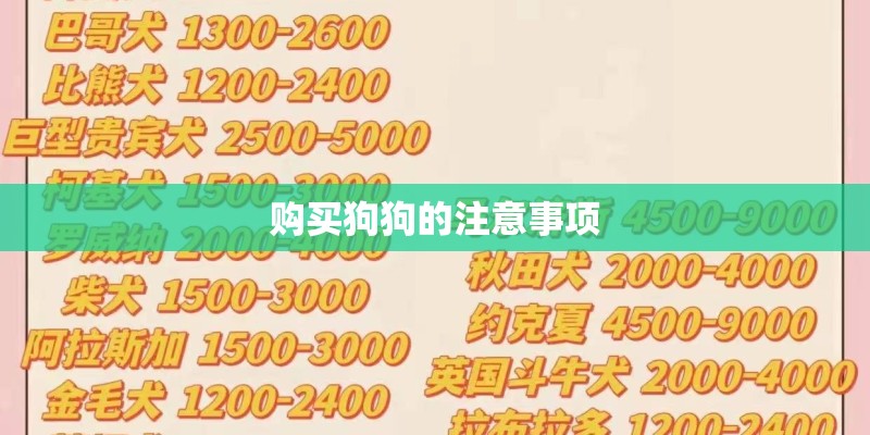 购买狗狗的注意事项