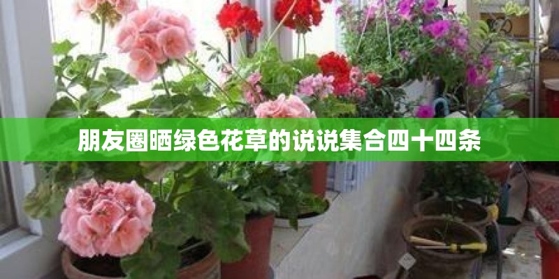朋友圈晒绿色花草的说说集合四十四条