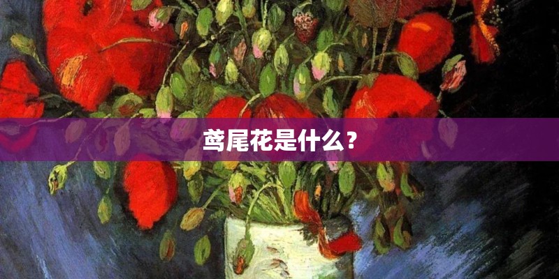 鸢尾花是什么？