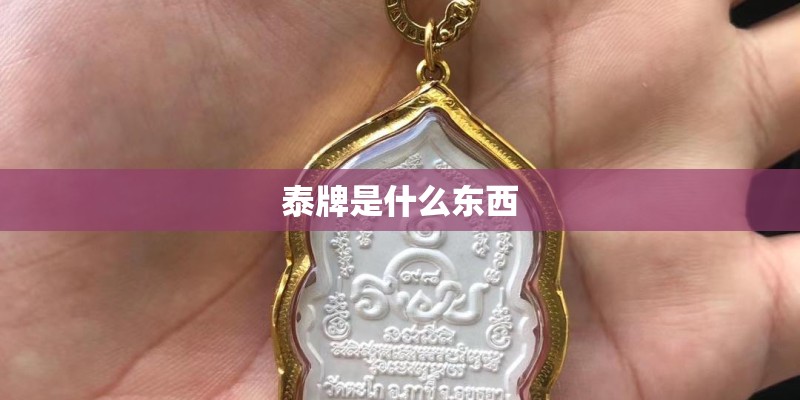 泰牌是什么东西