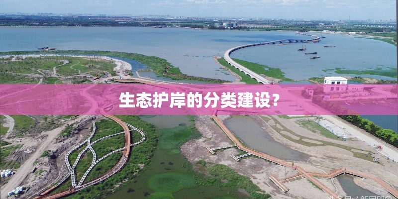 生态护岸的分类建设？