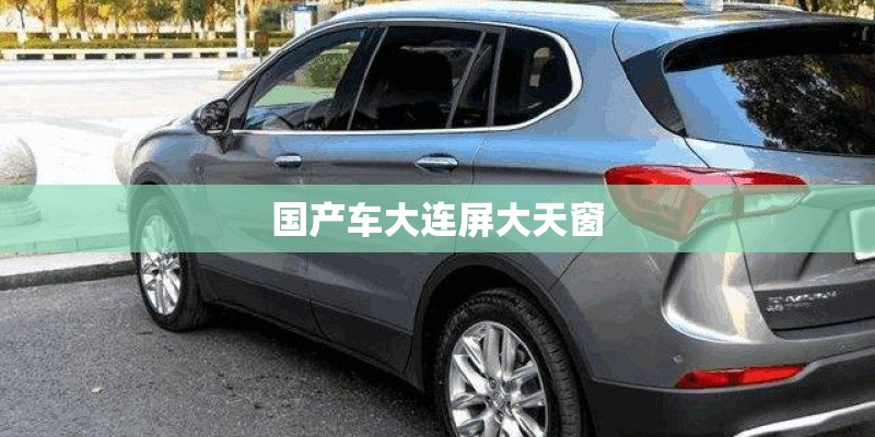 国产车大连屏大天窗