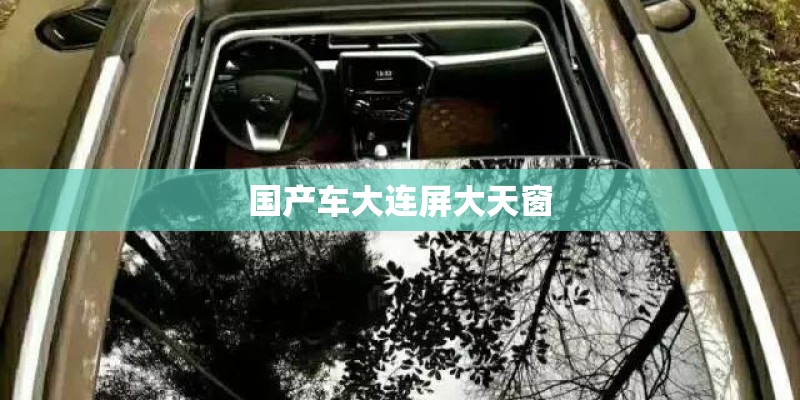 国产车大连屏大天窗
