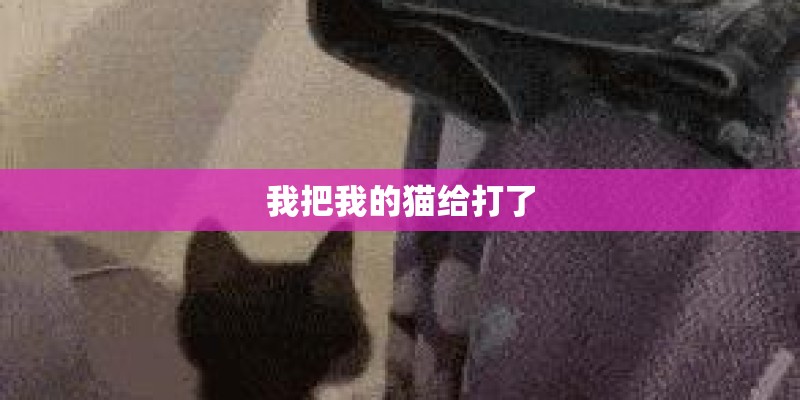 我把我的猫给打了
