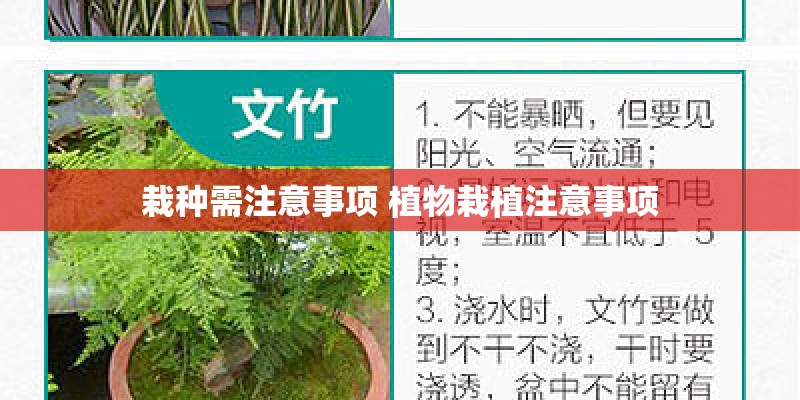 栽种需注意事项 植物栽植注意事项