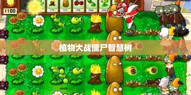 植物大战僵尸智慧树