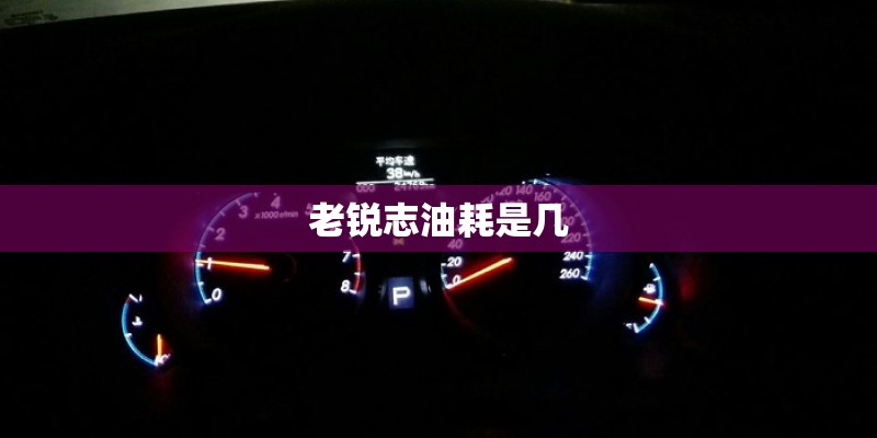 老锐志油耗是几
