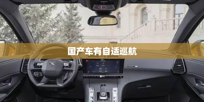 国产车有自适巡航