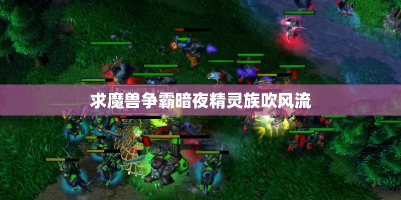 求魔兽争霸暗夜精灵族吹风流