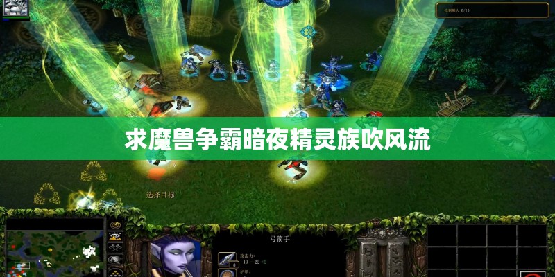 求魔兽争霸暗夜精灵族吹风流
