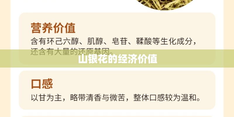 玫瑰花与月季花哪种好养活