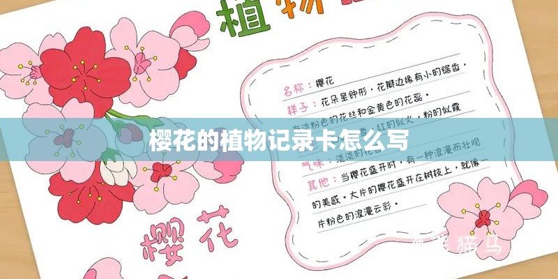 樱花的植物记录卡怎么写