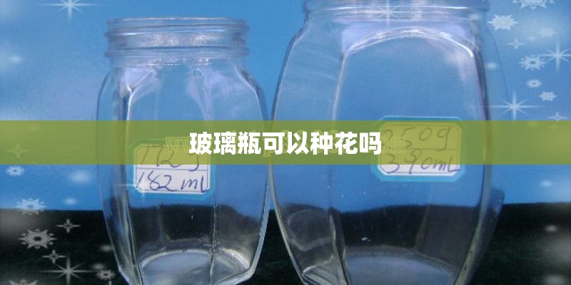 玻璃瓶可以种花吗