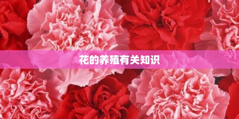 花的养殖有关知识
