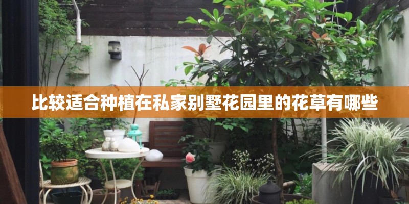 比较适合种植在私家别墅花园里的花草有哪些