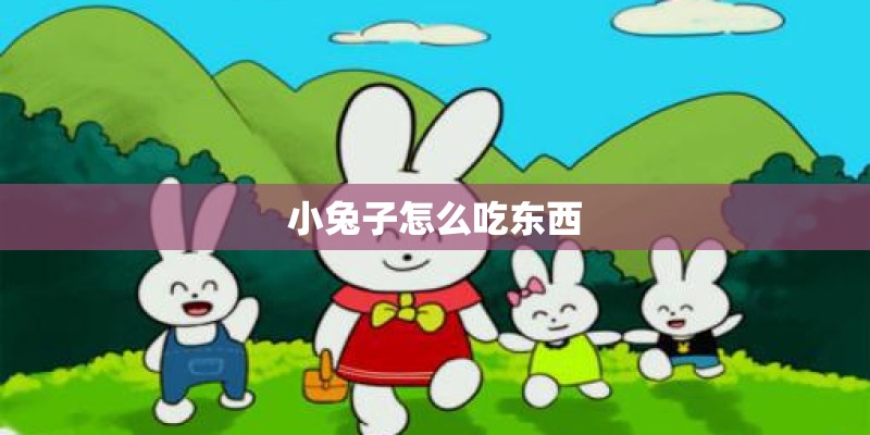 小兔子怎么吃东西