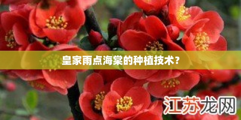 皇家雨点海棠的种植技术？
