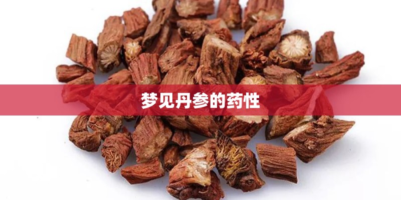 梦见丹参的药性