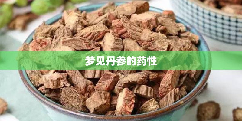 梦见丹参的药性