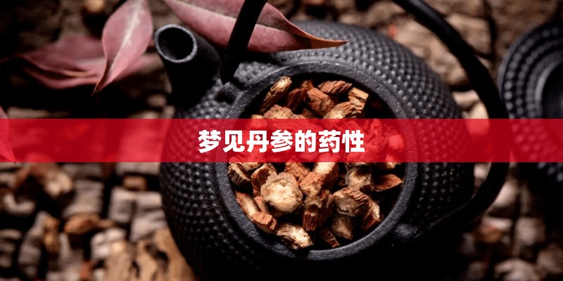 梦见丹参的药性