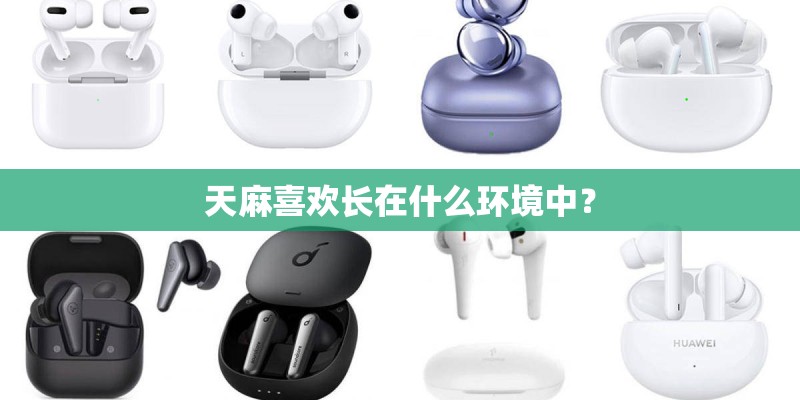 天麻喜欢长在什么环境中？