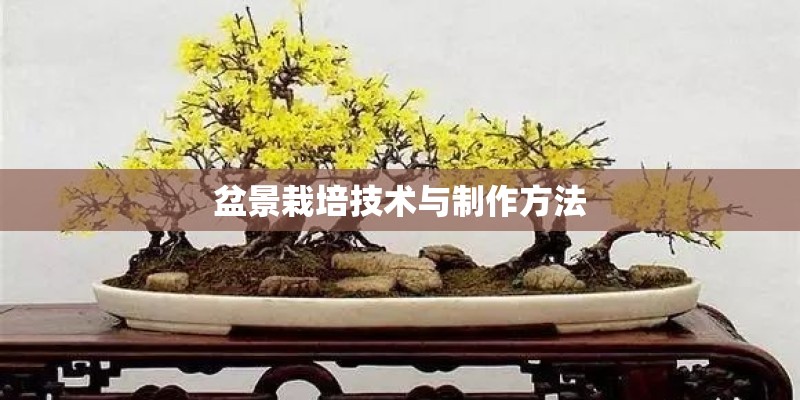 盆景栽培技术与制作方法 盆景栽培技术与制作方法