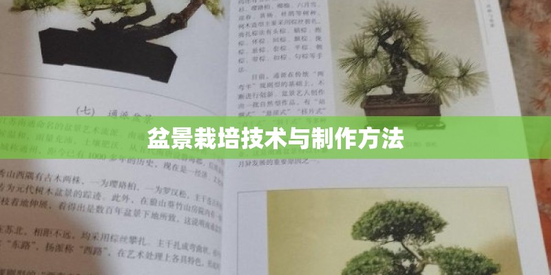 盆景栽培技术与制作方法 盆景栽培技术与制作方法
